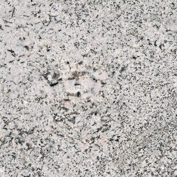 Saddle White - e8bkvy6kzycflulcudcd@2x.jpg