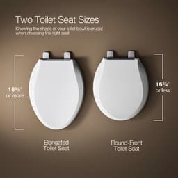 Kathryn Elongated Closed-Front Toilet Seat with Polished Chrome Hinges - e8stwxab6xpceigvqjwe@2x.jpg