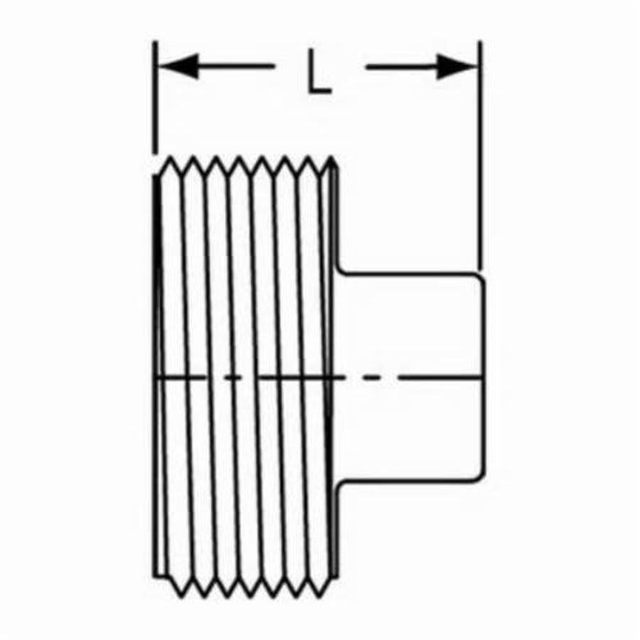 Plug, 8 in, MNPT, DWV, PVC - e8tdtri4ldukc7smikue@2x.jpg