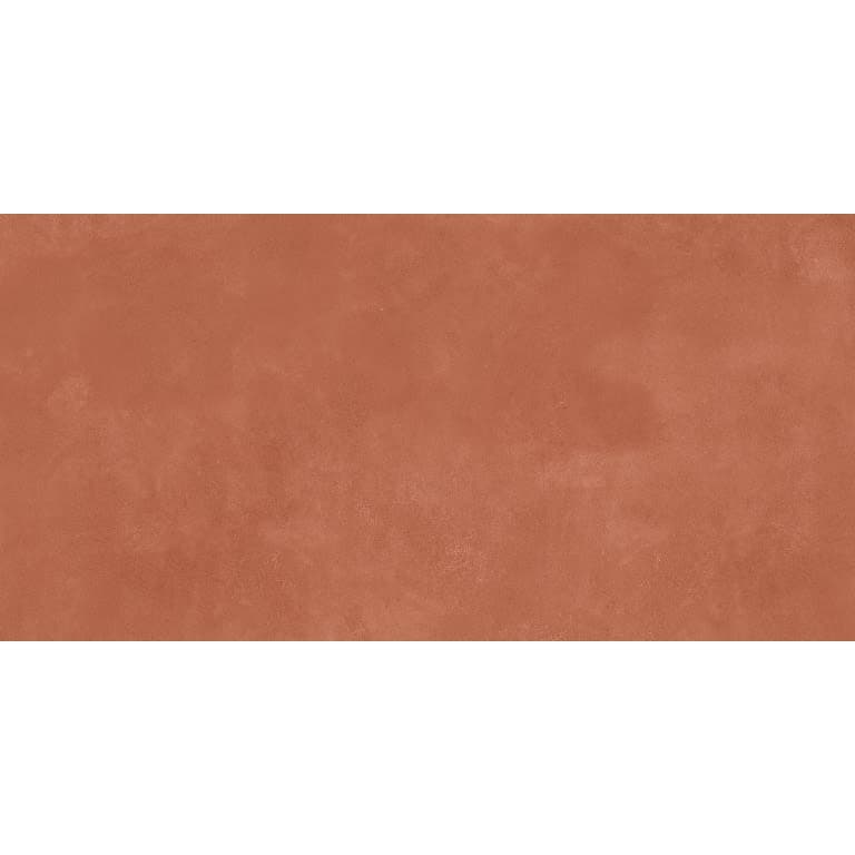 AGIO SLIM RINO MT 12X24