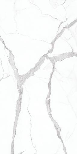 Statuario - edrukxdl0aijsm2cg51a@2x.jpg