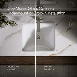 Iron Plains 18-9/16" Drop In Enameled Cast Iron Bathroom Sink with Overflow - ef9qryrav1dcrxyhjgev@2x.jpg