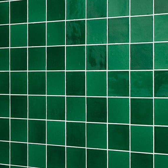 Natural Hues Fern Square 12X12 Matte - efezn3mzj2dsxr4phzvg@2x.jpg