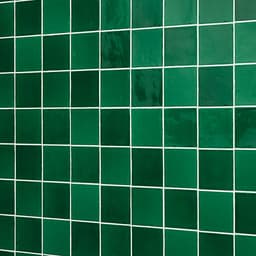 Natural Hues Fern Square 12X12 Matte - efezn3mzj2dsxr4phzvg@2x.jpg