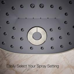 Statement 2.5 GPM Multi Function Shower Head with MasterClean Sprayface and Katalyst Air Induction Technology - eftvqzvlobvlg2rzmrwr@2x.jpg