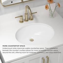 19.5 in. Undermount Oval Vitreous China Bathroom Sink in White - ehkfgfhv6s9rv2ebilud@2x.jpg