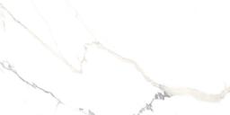 12X24 POLARIS FD WHITE - ehkyoit78iallcjifqw4@2x.jpg