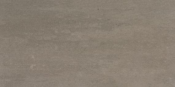 Theoretical Evolved Hibernate Brown Rectangle 12X24 Textured - ejpj0elshosa10txd5sv@2x.jpg