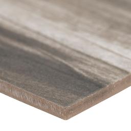 Carolina Timber II Gray - ejvanc8gdw2fdcxd6asb@2x.jpg