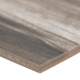 Carolina Timber II Gray - ejvanc8gdw2fdcxd6asb_x500.jpg