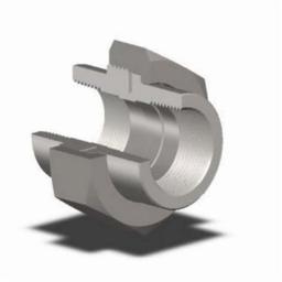Union, 2 in, FNPT, SCH 80/XH, Forged Steel, 3000 lb - ekhk3x2pzln89nzzikvw@2x.jpg
