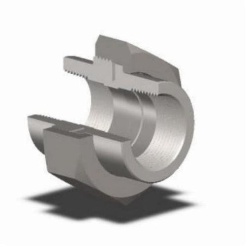 Union, 2 in, FNPT, SCH 80/XH, Forged Steel, 3000 lb - ekhk3x2pzln89nzzikvw_x500.jpg