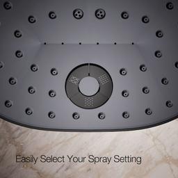 Statement 2.5 GPM Multi Function Shower Head with MasterClean Sprayface and Katalyst Air Induction Technology - ekqwqj8h3jaa6oordypt@2x.jpg