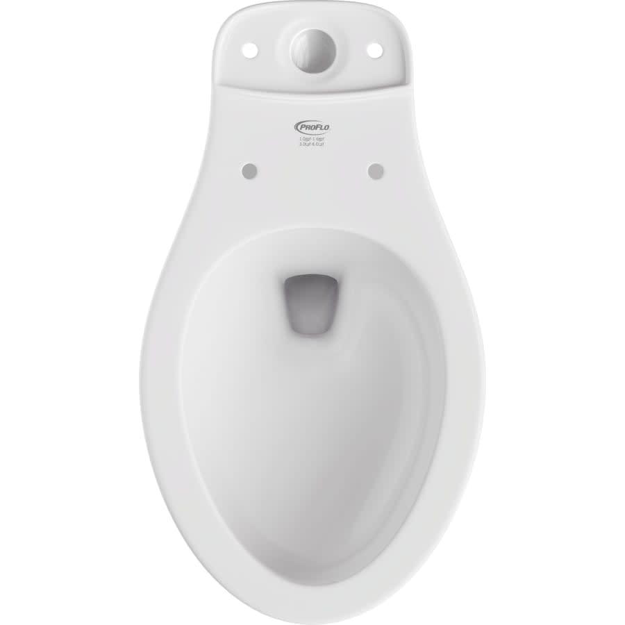 Jerritt Elongated Toilet Bowl Only - em0hkmawo6pclmlq493o@2x.jpg