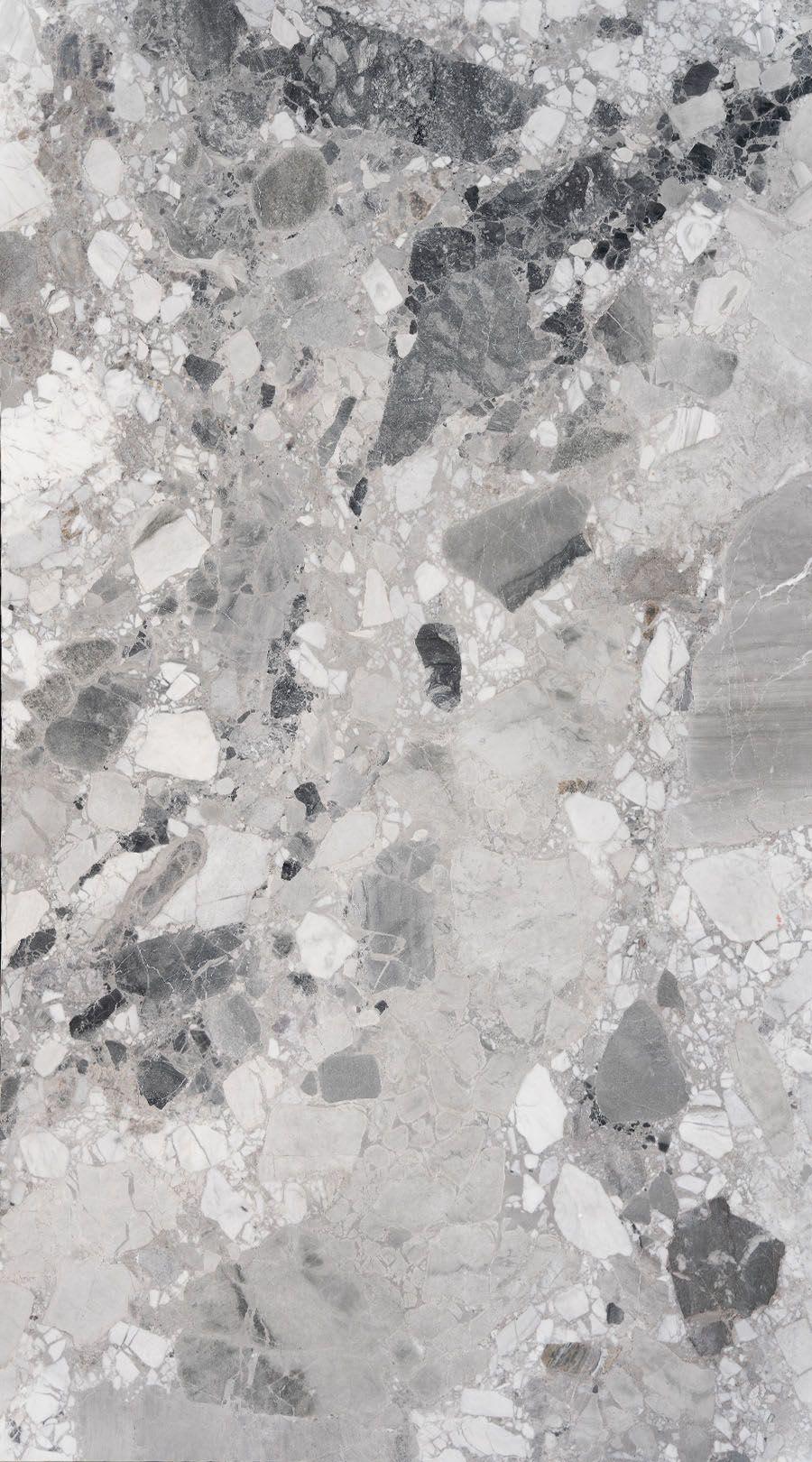 Everest Polished - emki9abq4htcgvqujdrn@2x.jpg