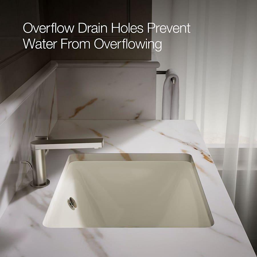 Iron Plains 18-9/16" Drop In Enameled Cast Iron Bathroom Sink with Overflow - en0pp84mzynlyetgx9pl@2x.jpg