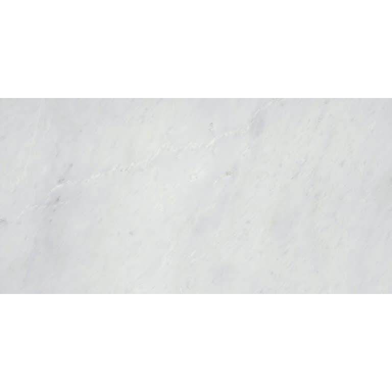 WINTER FROST CLASSICO 12X24 - eotu8gcz4nmssi9ykdsv@2x.jpg
