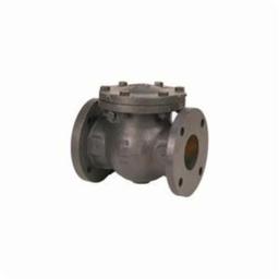 Swing Check Valve, 2-1/2 in, Flange, Cast Iron - epalpg8jgitxz3bkcdp5@2x.jpg