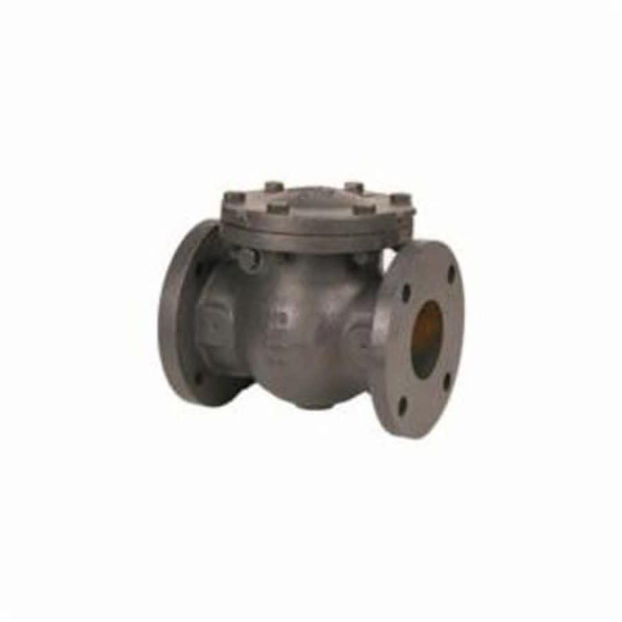 Swing Check Valve, 2-1/2 in, Flange, Cast Iron - epalpg8jgitxz3bkcdp5@2x.jpg
