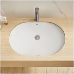 Essence Undermount or Drop In 24" Bathroom Sink - epq8dhsa9jzfubrmhfop_x500.jpg