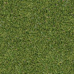 VIRIDIAN TURF 91 - eqmbdro5ckikdgx5fhme@2x.jpg