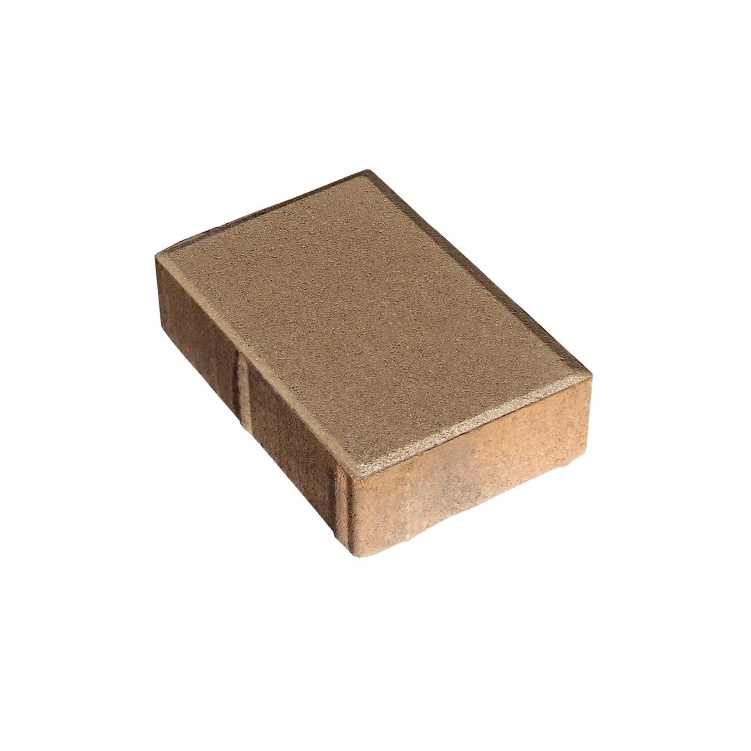 NEW Paseo 6x9 - ergiu0bbb1fd3xopqpjy@2x.jpg