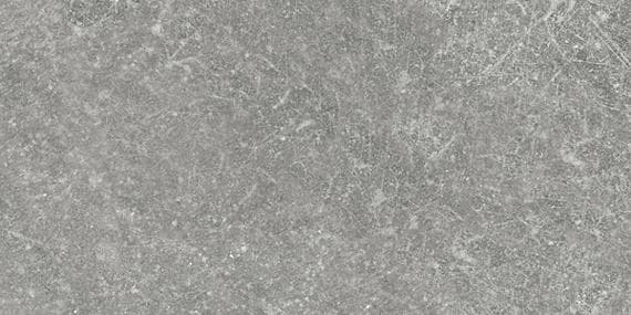 Solstice Spring Grey Hexagon 8X8 Matte - exeghie5hdf5rasdki01@2x.jpg