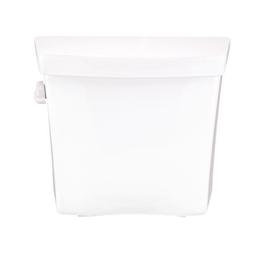 Blaze™ Toilet Tank, Bowl Mount, 12 in Rough, Left Hand Lever, 1.28 gpf, White - eyxrzfsjzk20fs273b1h@2x.jpg