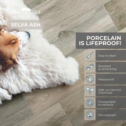 Selva Ash 8 in. x 40 in. Wood Look Porcelain Floor and Wall Tile (12.92 sq. ft./Case) - f1czsih4gjr1uvh5nymp@2x.jpg