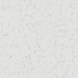 Carrara Matte 2" Hexagon - f1nnatzeyvh9ivqtbpzb@2x.jpg