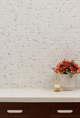 Carrara Matte Penny Round - f3fxegdl3xessdjny90c@2x.jpg