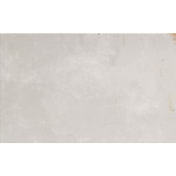 COGENT SILVER 10X16 - f5j5ficwkw3elh6jzlbi@2x.jpg