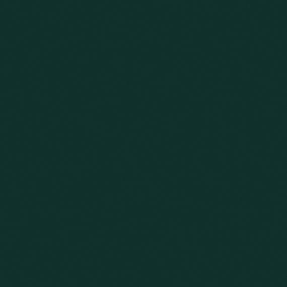 Color Story Wall Wisdom Rectangle 2X8 Glossy - f5vfhcvayvsigi2r5qoh@2x.jpg