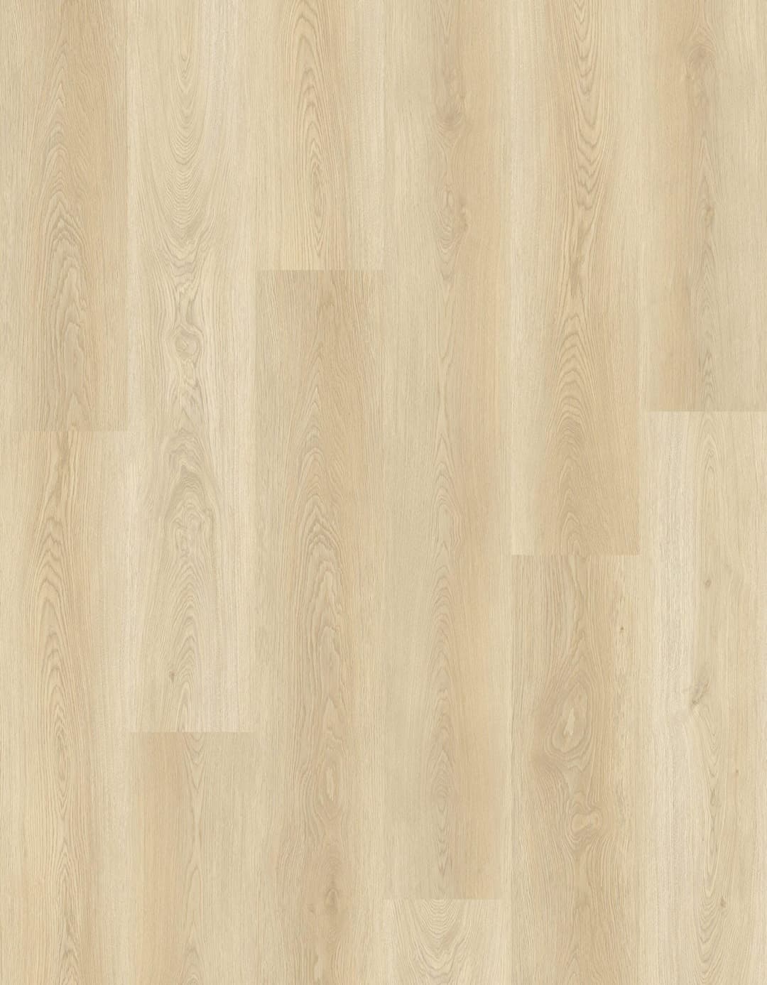 Coastal Cream - f6bx3hueqjbppwggrsdj@2x.jpg