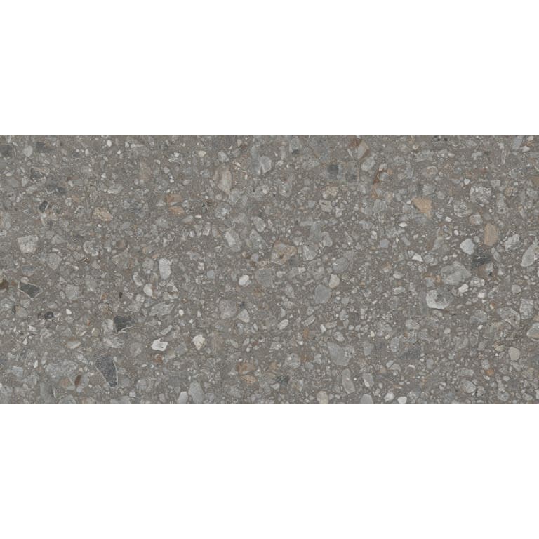 PERENNE JAVA MT 12X24
