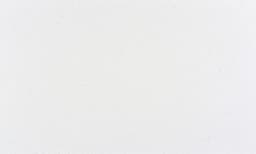 White Carrera - f9zfved5fnvbz0nwczcj@2x.jpg