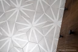 Allora 8.5" x 10" Matte Stella Hexagon Deco Porcelain Tile - fburzewwn4cjfegpb4ux@2x.jpg
