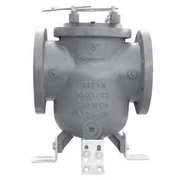Strainer, 2-1/2 in, Flange, Cast Iron - fdqdfyo2ijsvyqn13iro@2x.jpg