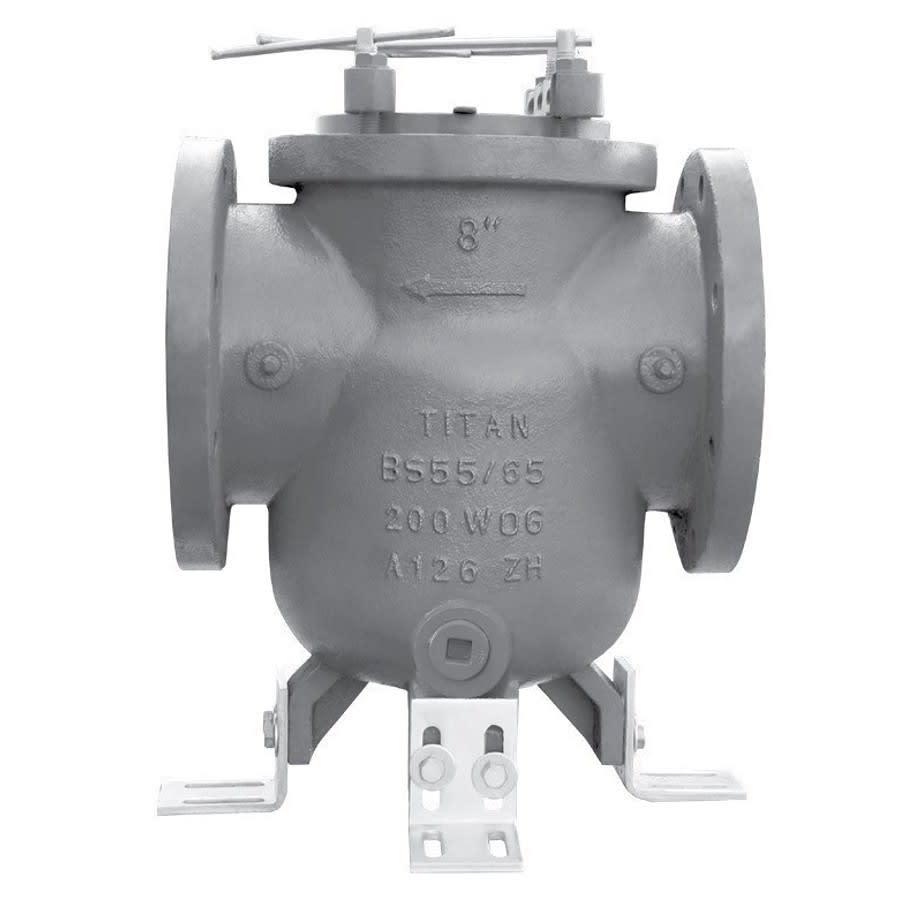 Strainer, 2-1/2 in, Flange, Cast Iron - fdqdfyo2ijsvyqn13iro@2x.jpg