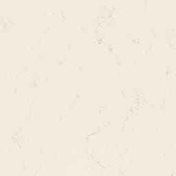 Carrara Roma - ffhm0w9tj2779l6kdrib@2x.jpg