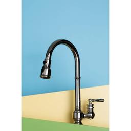 Artifacts 1.5 GPM Single Hole Pull Down Kitchen Faucet - ffrwwrs4n13ydtjqeppr@2x.jpg