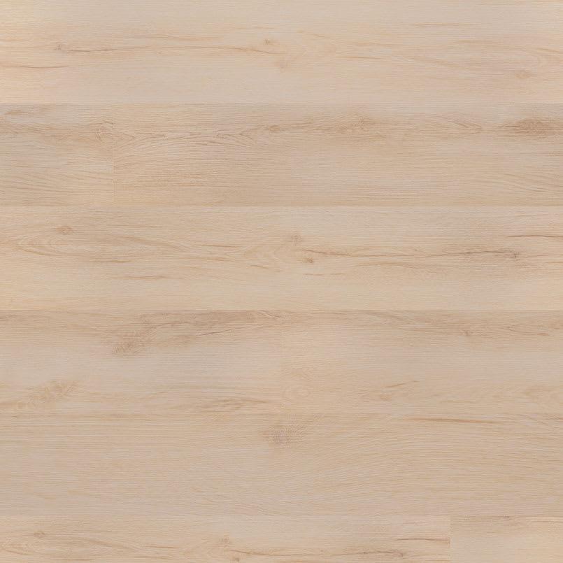 Kallum® Fallonton - fgk9piartbbetygxgtok_800x500@2x.jpg