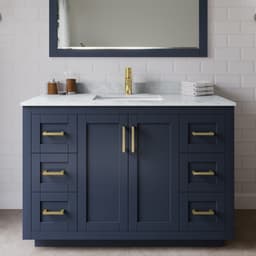 Miranda Single Bathroom Vanity - 48W x 33.75H x 22D - fh5krtgspodra6y7e6ws@2x.jpg
