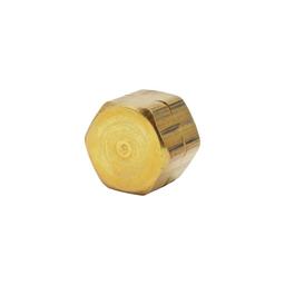 1/4 in. OD Compression Brass Cap Fitting - fhsohldv3my4og7vl7vo@2x.jpg