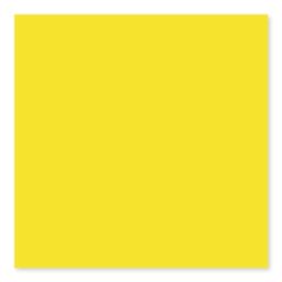 BG YELLOW 3X6 - fhughuqawh69iu2zcbyy@2x.jpg