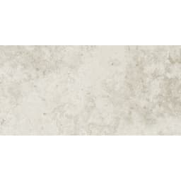 SILQUE LIGHT HN 12X24 - fipnsdxjddfmfof0pvhu@2x.jpg