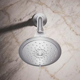 Forte 1.75 GPM Multi-Function Shower Head - fisopdrdspzygppfo4yh@2x.jpg