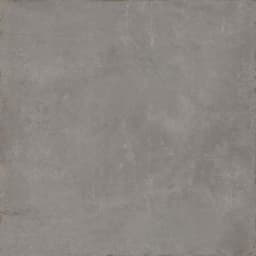 COGENT GRAY 31X31 - fkjxcrx5jhembdhh6j4c@2x.jpg