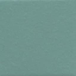 Unglazed Mosaics Fresh Straight Joint 2X2 Matte - fpjoffj7w79c4uswsalr@2x.jpg