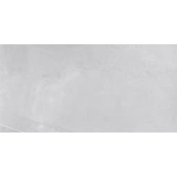 VERNON SILVER 12X24 - fpultv6aq0fkhxen4qqv@2x.jpg